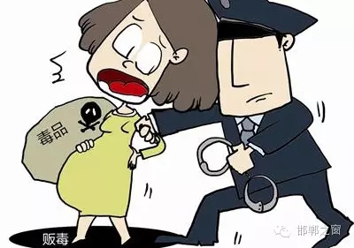 2016年初，涉縣警方查獲一起涉毒案件，鑒于該案涉案人員多、毒品交易量大，涉縣警方立即將案情上報，被公安部確立為“目標-2016-314”號毒品案件。涉縣警方成立專案組，經(jīng)過多方追查，先后抓獲團伙人員13名，繳獲毒品5349克，并查明上線“濮姐”的真實身份為陳某。